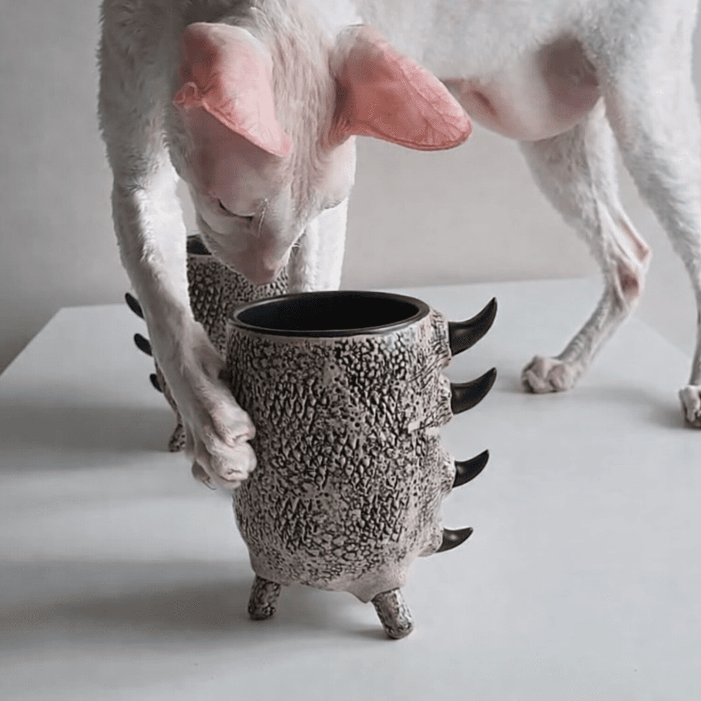 Dragon's Cup